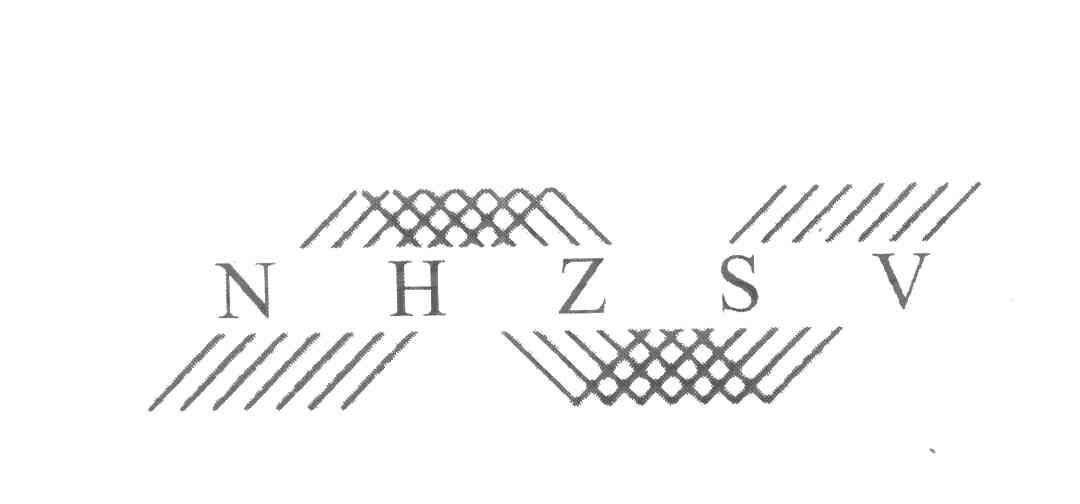 NHZSV