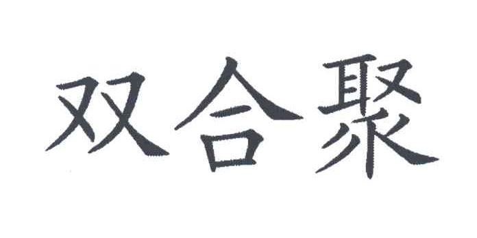 双合聚