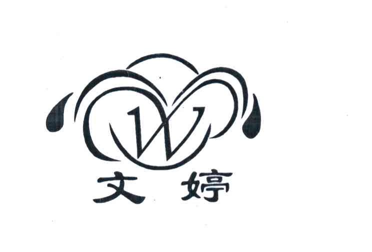 文婷