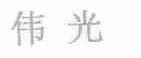 伟光