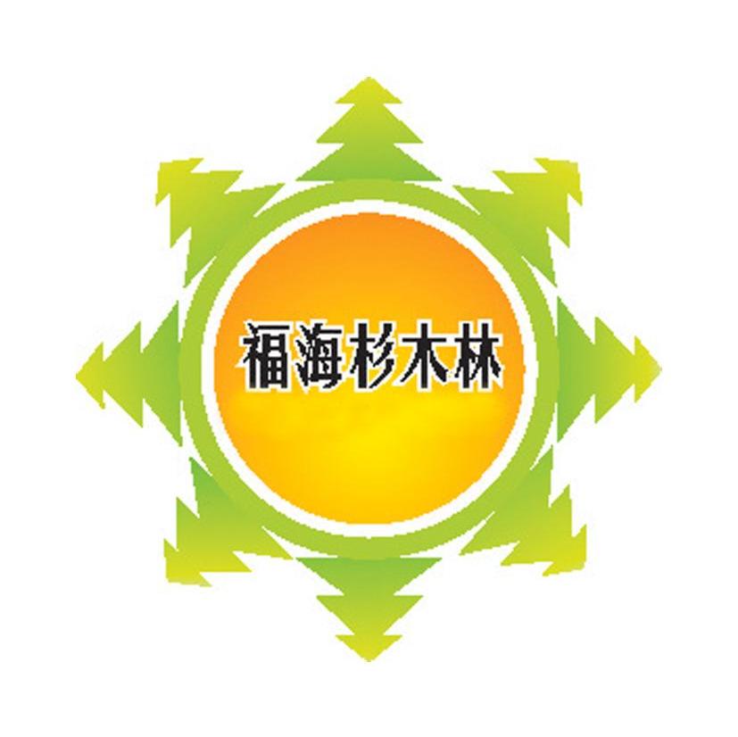福海杉木林
