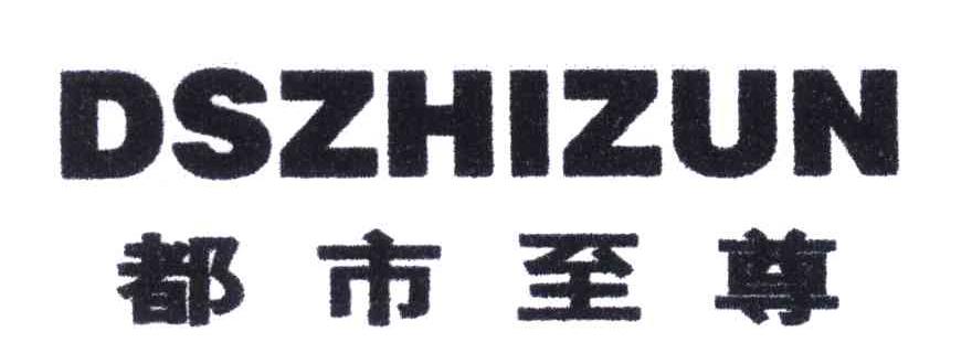 都市至尊;DSZHIZUN