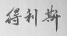 得利斯