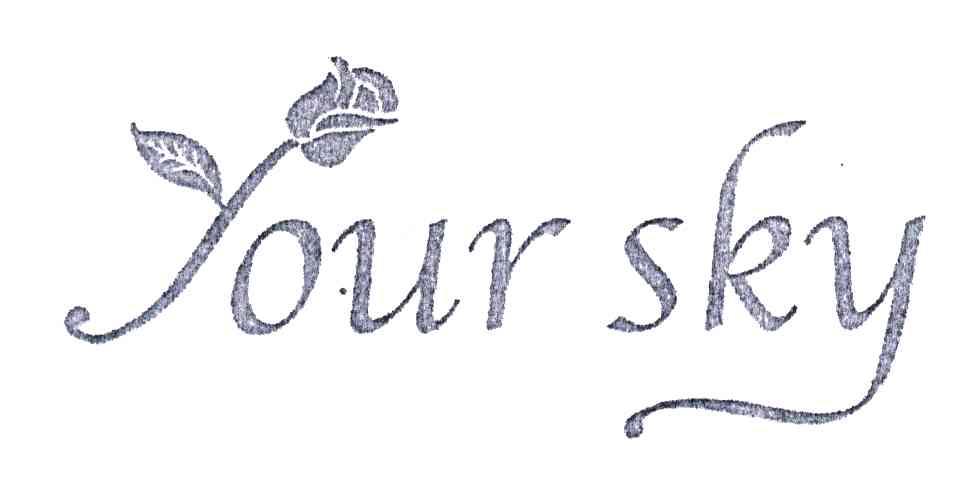 YOUR SKY