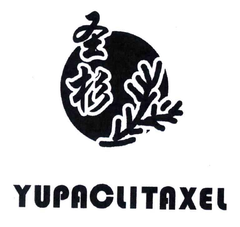 圣杉;YUPACLITAXEL