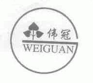 伟冠