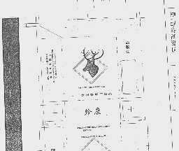 珍鹿