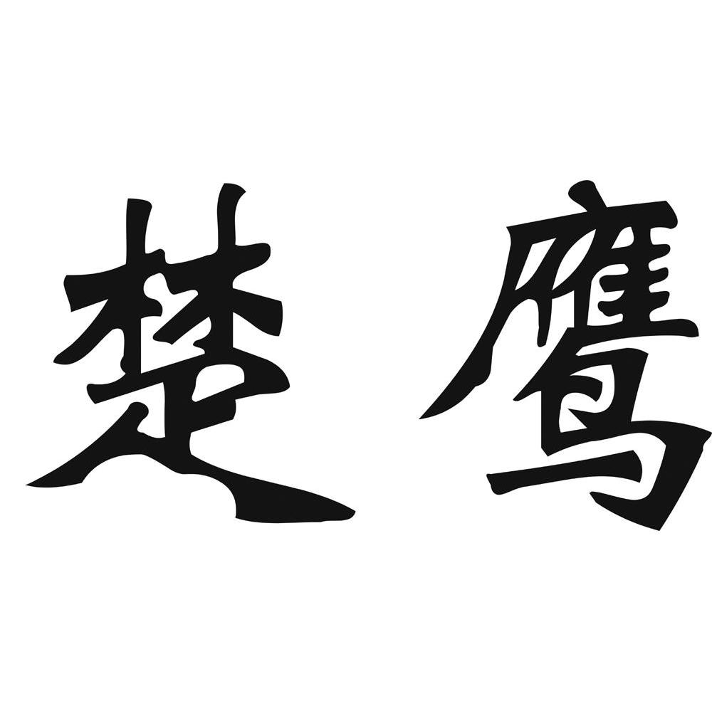 楚鹰