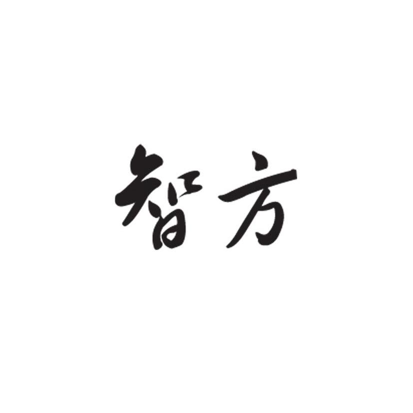 智方