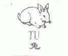 兔
