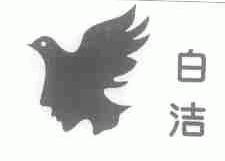 白洁