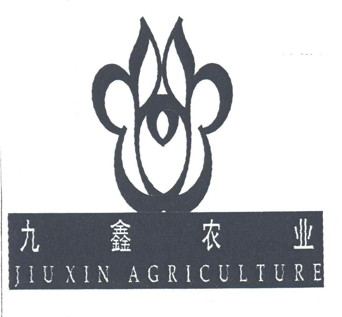 九鑫;JIU XIN