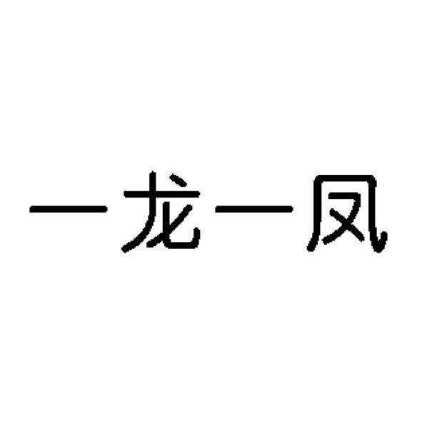 一龙一凤