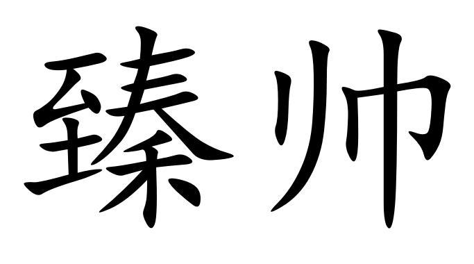 臻帅