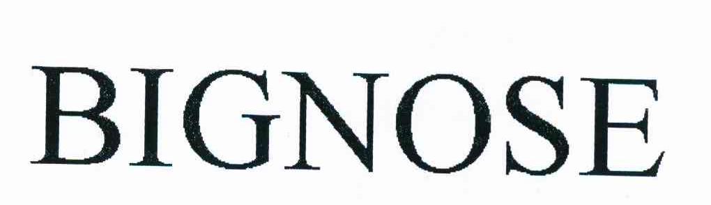 BIGNOSE