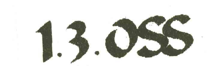 1.3.OSS