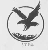 江鹰