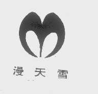 漫天雪