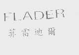 菲雷迪尔   FLADER
