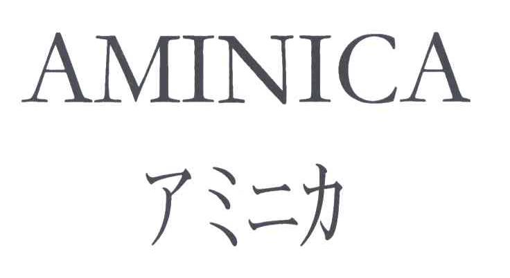 AMINICA