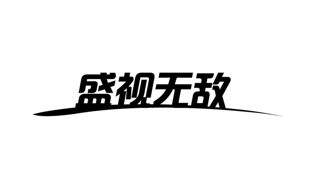 盛视无敌