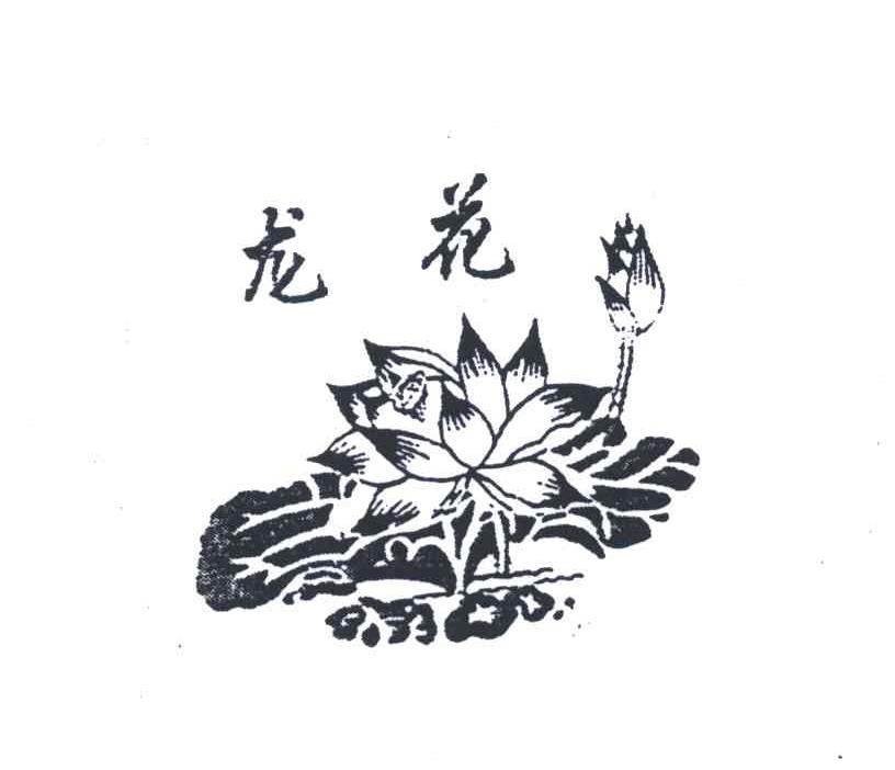 龙花