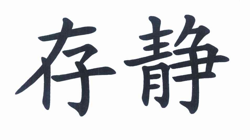 存静