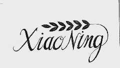 XIAO NING