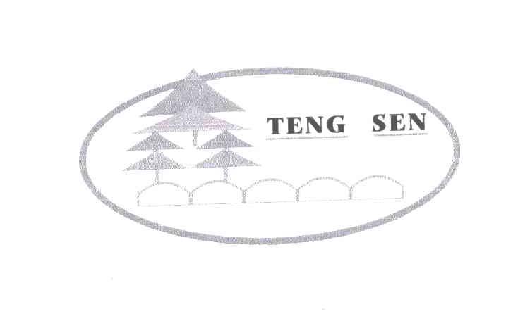 TENG SEN