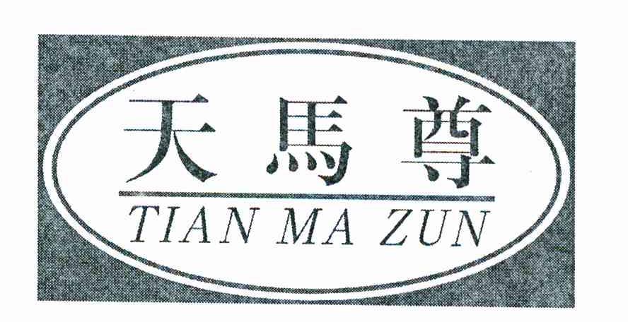 天马尊