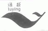 绿颖