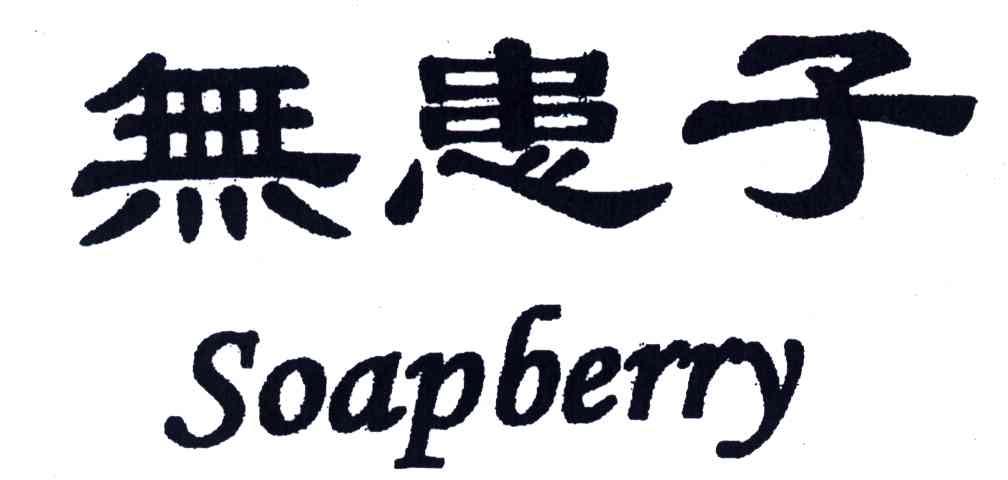 无患子;SOAPBERRY