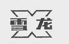 雪龙