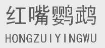 红嘴鹦鹉
