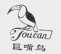 巨嘴鸟   TOUCAN