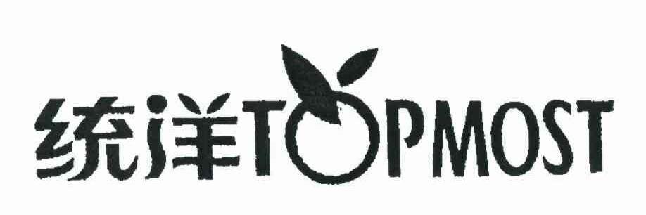 统洋 TOPMOST