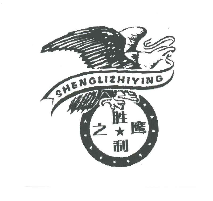 胜利之鹰及图形