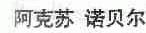 阿克苏诺贝尔