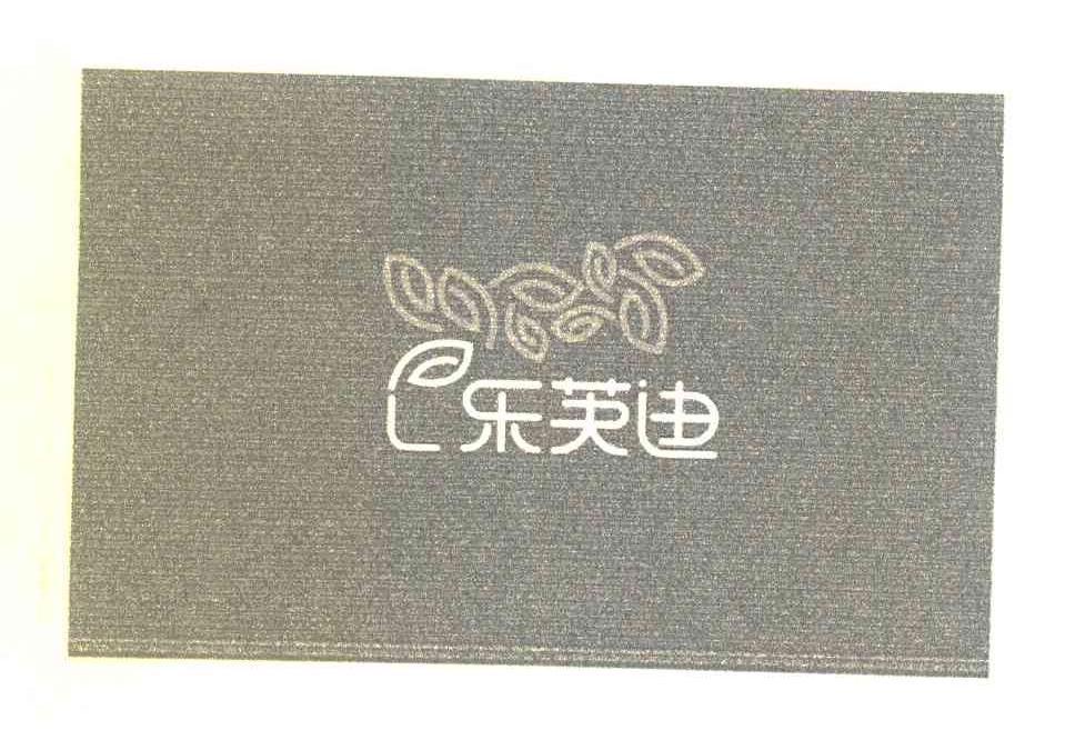 E乐芙迪