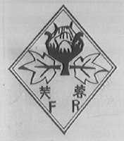 芙蓉