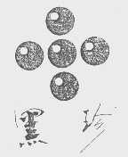 黑珍