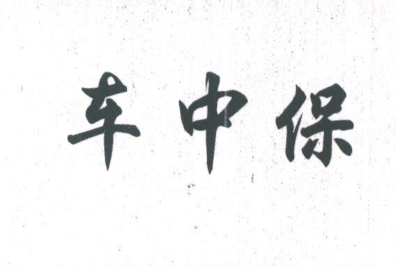 车中保