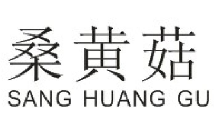 桑黄菇