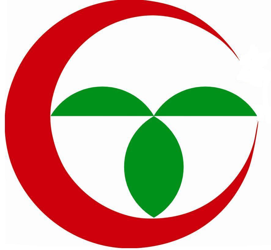 图形
