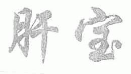 肝宝