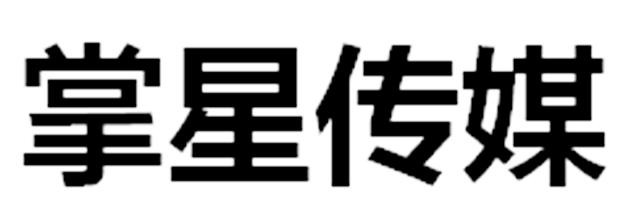 掌星传媒