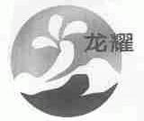 龙耀