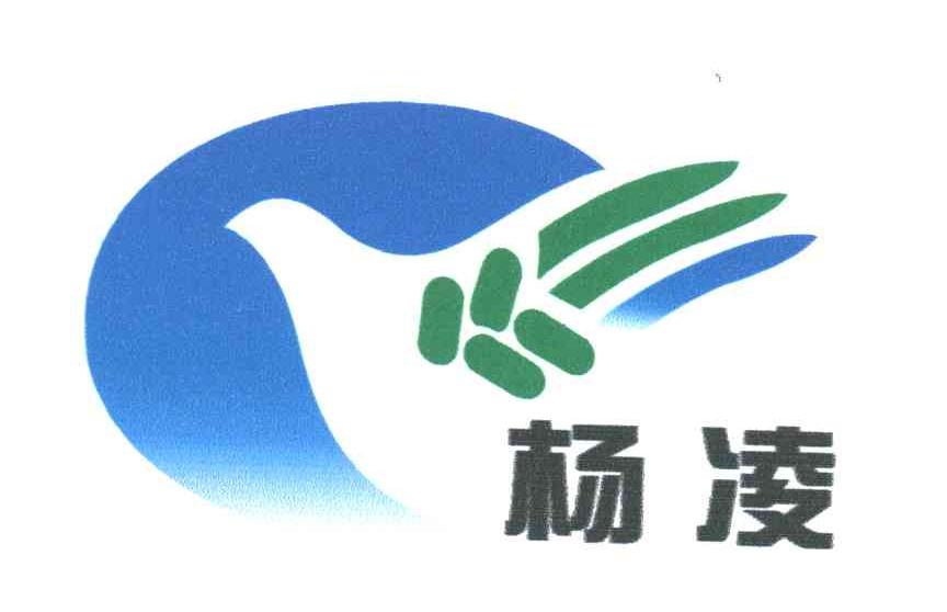 杨凌
