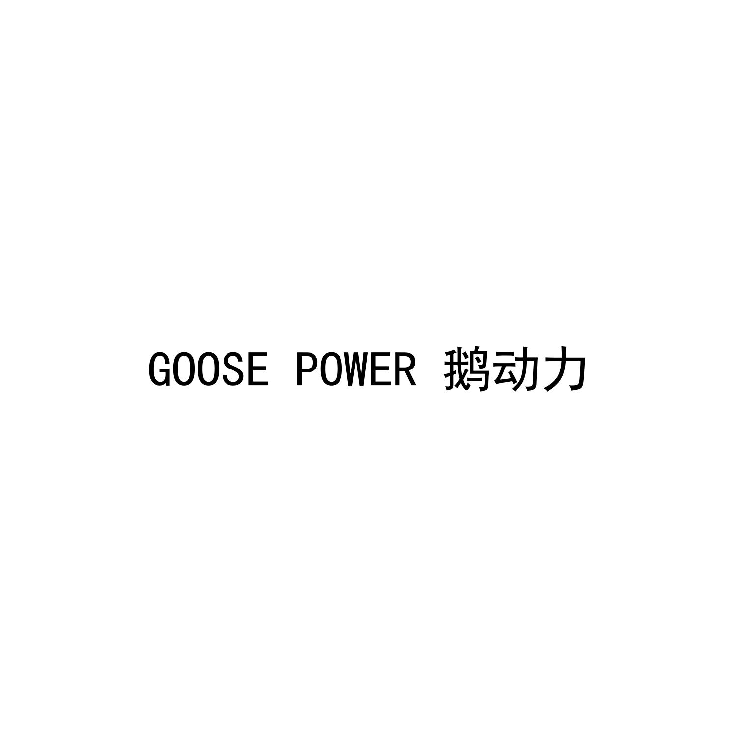 GOOSE POWER 鹅动力