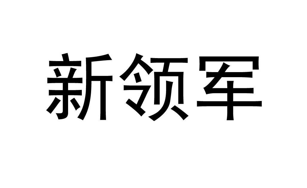 新领军